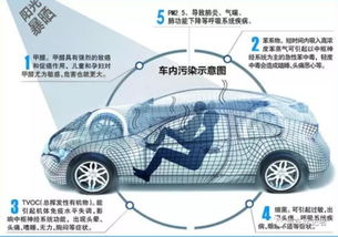 新車內(nèi)用于去味的活性炭有效期