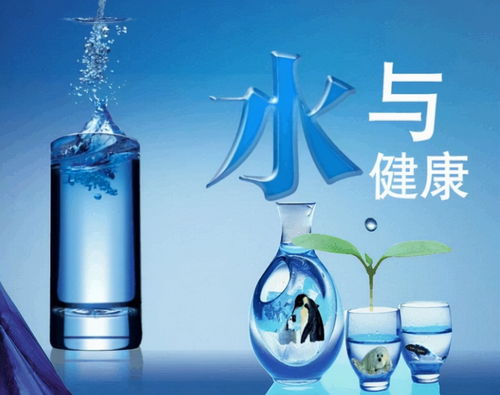 高效飲用水級(jí)凈水活性炭批發(fā)