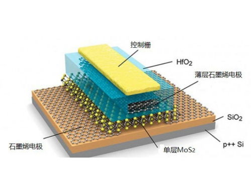 鋰硫電池和鋰電池的區(qū)別