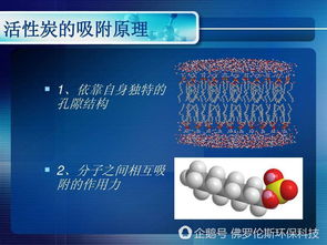 活性炭的材質(zhì)主要有哪些