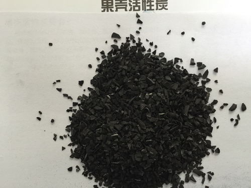 珠?；钚蕴恐憋嫏C(jī)廠家